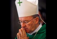 Nuncio acusado de abuso sexual, declara por voluntad propia francia