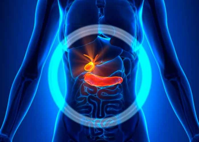 vesicula-portada tratamientos naturales