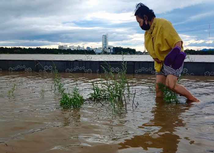 victimas-tifon-coreas