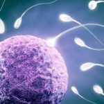 Científicos podrán reproducir humanos fuera de la Tierra cientificos