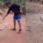 Cobra vomita botella de plástico al confundirla con comida (VIDEO) india
