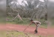 malasia