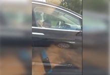 Captan a conductor que duerme plácidamente en un Tesla a 90 km/h video viral