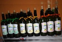 Estudiante del INATEC ya cuenta con su propio negocio de vinos nicaragua