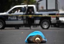 mexico, violencia, asesinatos,