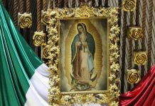 Hombre apedrea a una Virgen de Guadalupe por no cumplirle un milagro mexico
