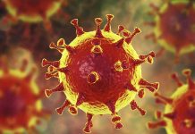 Australia comienza ensayos pre-clínicos de una vacuna contra el coronavirus coronavirus