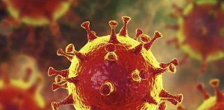 coronavirus