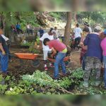 Jóvenes nicaragüenses participan en jornada de promoción a los viveros nicaragua
