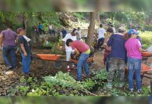 Jóvenes nicaragüenses participan en jornada de promoción a los viveros nicaragua