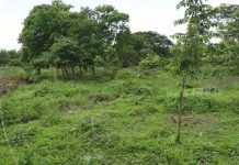 Proyecto Bismarck Martínez beneficiará a los Masayas nicaragua