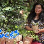 Nambume, un vivero que promueve la salud y la armonía con la tierra nicaragua