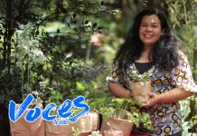 Nambume, un vivero que promueve la salud y la armonía con la tierra nicaragua