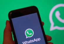 WhatsApp esta implementando ‘stickers’ animados whatsapp