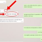 WhatsApp limita el reenvío de mensajes para combatir las noticias falsas estados unidos