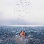 Shawn Mendes estrena video musical titulado «Wonder» musica