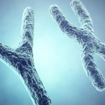 Descubren que el cromosoma Y está desapareciendo de los hombres nicaragua