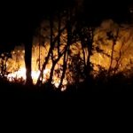 Incedio de maleza en la parte sur de la bahía de san juan del sur incendio