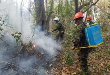 Extinguen incendio en comarca San Diego, departamento de Managua nicaragua