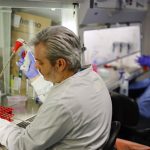 Descubren en Brasil el Yaravirus, un misterioso virus inocuo para humanos brasil