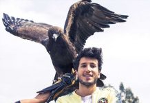 (VIDEO) Sebastián Yatra se lleva un picotazo en la cabeza sebastian yatra