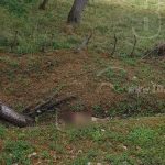 Rivas: Encuentran cuerpo de joven abandonado a orillas de la carretera nicaragua