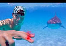 YouTuber pone a prueba olfato de los tiburones con su propia sangre video viral