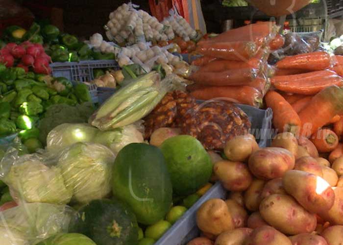 zanahoria-chiltoma-12 nicaragua