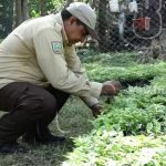 MARENA ejecuta proyectos comunitarios en Isla Zapatera nicaragua