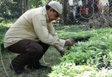 MARENA ejecuta proyectos comunitarios en Isla Zapatera nicaragua
