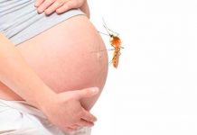¡OJO! El virus del Zika podría causar aborto embarazo