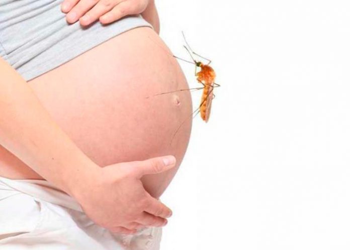 zika_F42d6zE embarazo