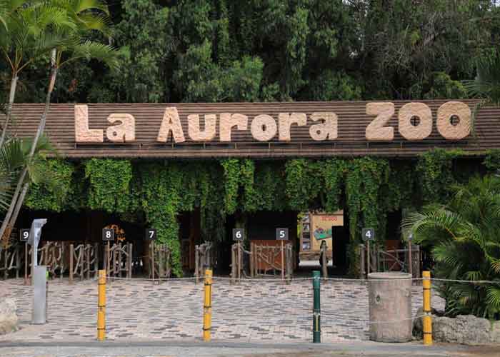 zoologico-guatemala guatemala