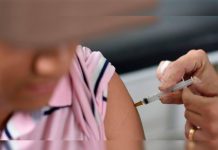 Qué hay que tener en cuenta para viajar a países con brotes de gripe aviar y fiebre amarilla