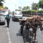 Tremendo susto para carretonero en la Cuesta El Plomo
