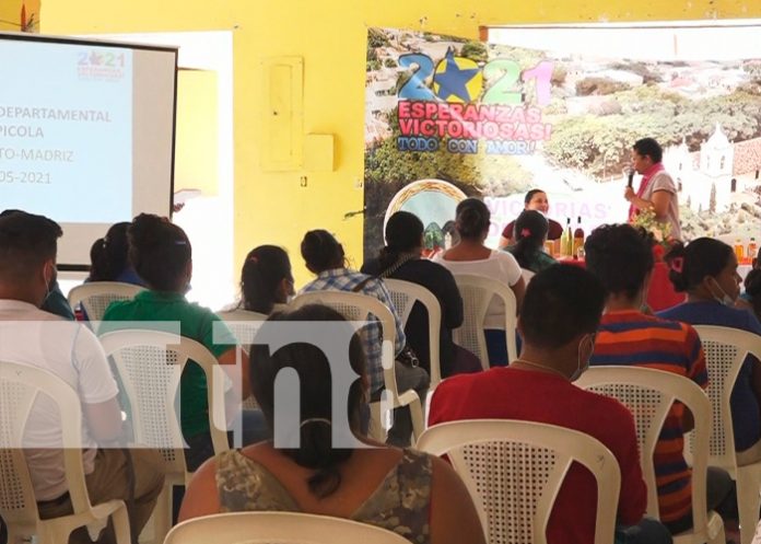 nicaragua, madriz, apicultura, economia,