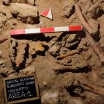 Encuentran evidencia de nueve neandertales en una cueva de Italia ciencia, descubrimiento, italia, nueve neandertales, caracteristicas