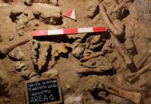 Encuentran evidencia de nueve neandertales en una cueva de Italia ciencia, descubrimiento, italia, nueve neandertales, caracteristicas
