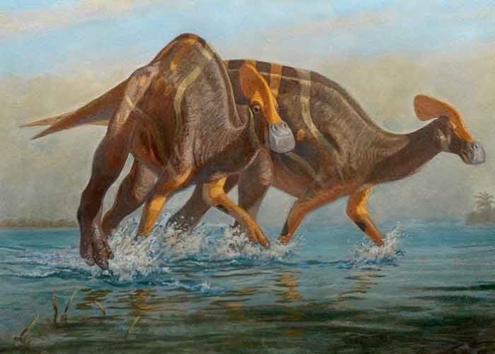 1 ciencia, mexico, descubrimiento, dinosaurio, nueva especie