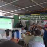 nicaragua, rivas, apicultura , agricultura, miel,