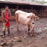 nicaragua, chontales, semovientes,