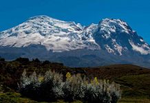 Descubren nuevas especies de algas en glaciares del volcán Antisana en Ecuador ciencia, descubrimiento, algas, nuevas especies, glaciares