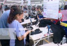 nicaragua, managua, zona franca, prestaciones,