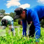 INATEC prepara profesionales a través de una educación gratuita y de calidad nicaragua, jalapa, inatec, educacion,