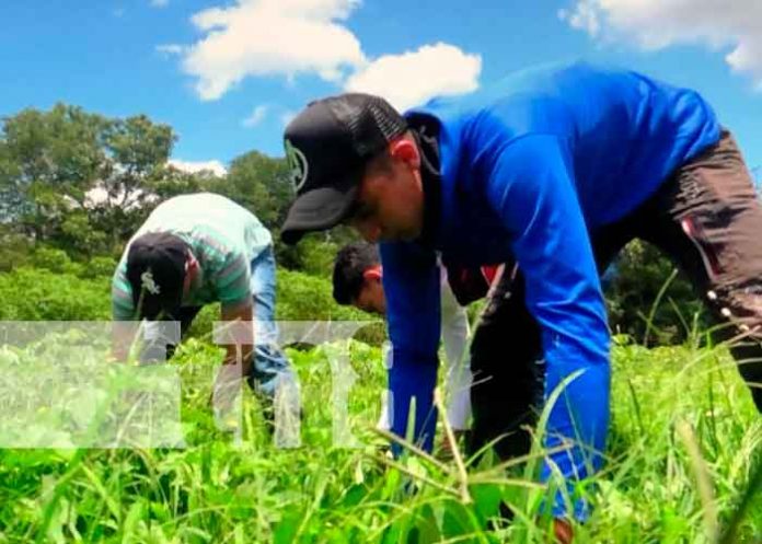 nicaragua, jalapa, inatec, educacion,