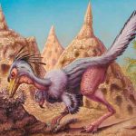 Examinan restos de dinosaurio y descubren que fue un depredador nocturno ciencia, dinosaurio, depredador, Shuvuuia deserti,