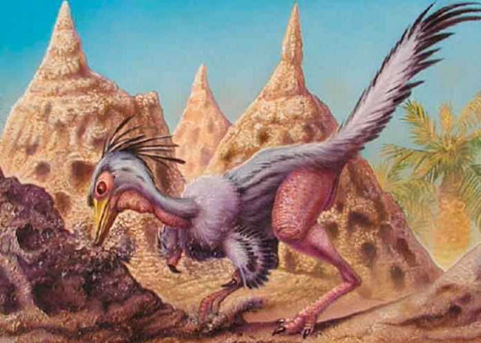 ciencia, dinosaurio, depredador, Shuvuuia deserti,