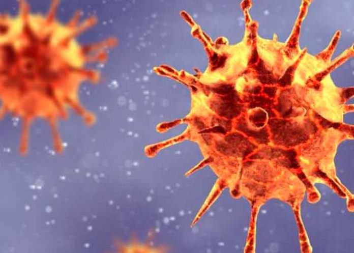 salud, oms, variantes, covid-19, denominacion