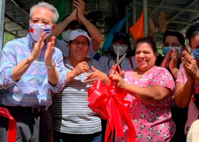 11 nicaragua, inta, inauguracion, embajada de taiwan, ganado porcino