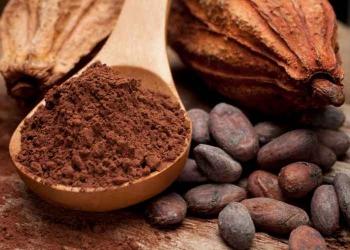 14 nicaragua, cacao, produccion nacional, exportaciones, crecimiento